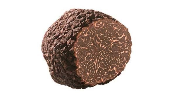 Tartufo Nero