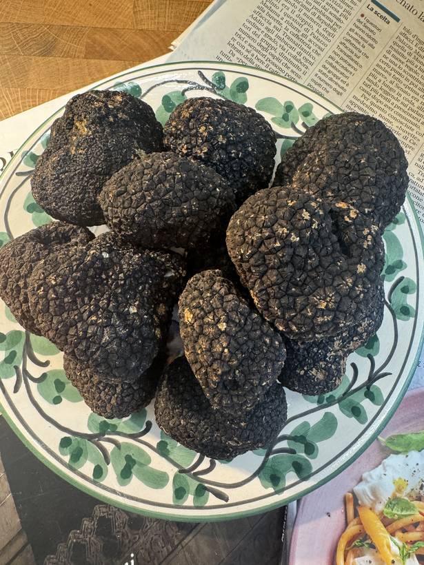 Tartufi neri freschi